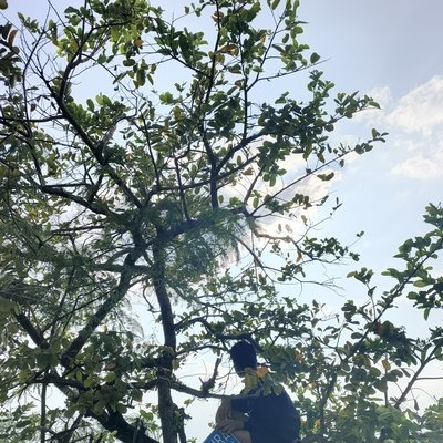 Riki — Owner & Developer Nakano Miku Bot